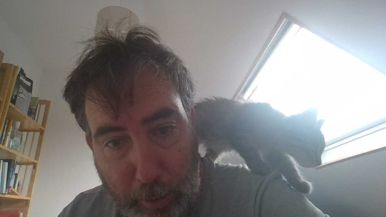 A kitten walking over me and minding his business